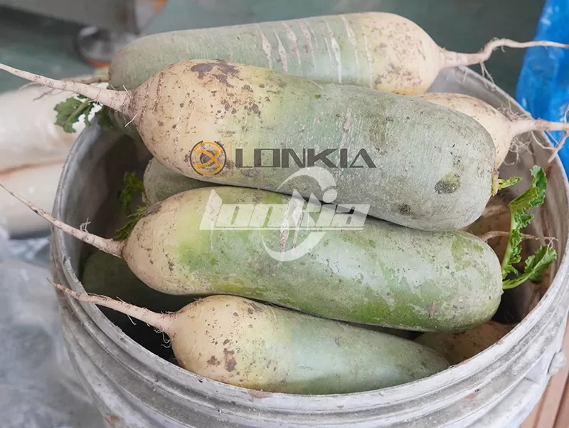 Cucumber Washing Line with Bubble Cleaning Brush Washing Grading for Korea