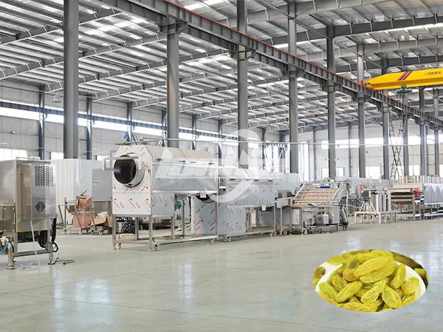 Raisin Processing Line