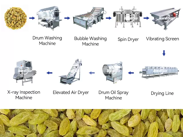 How a Raisin Processing Line Works Step by Step?