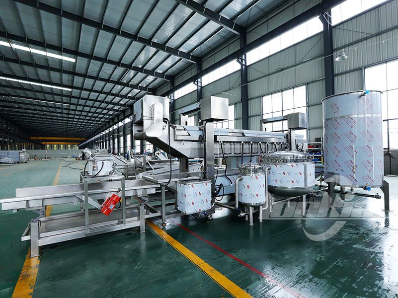 industrial deep fryer