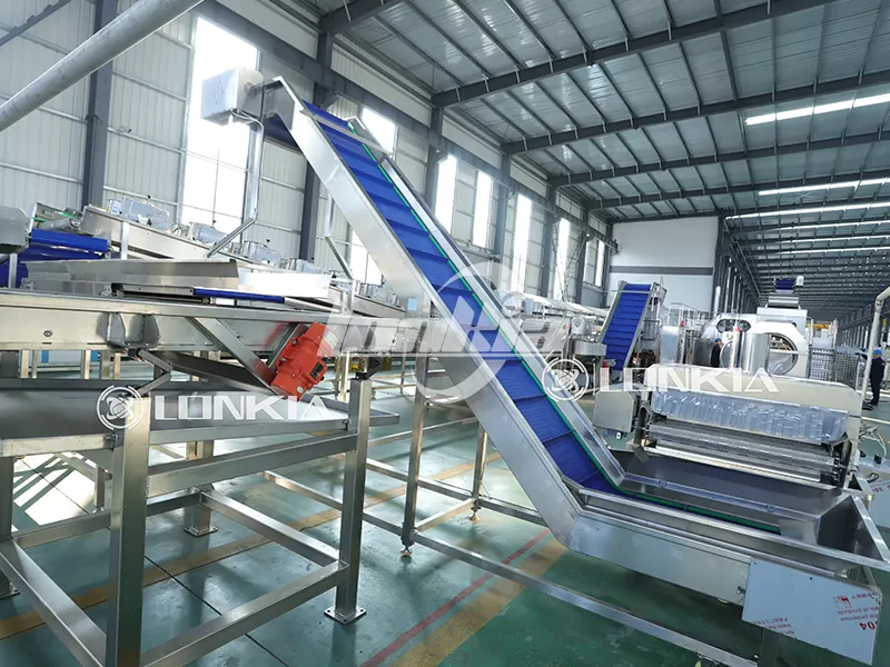 French Fries Processing Plant Maintenance: Ensuring Long-Term Reliability