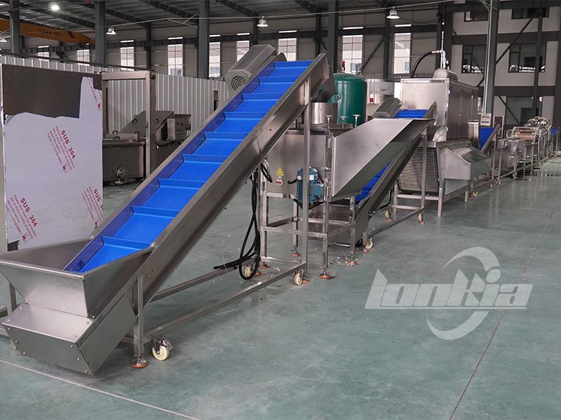 lonkia garlic peeling line