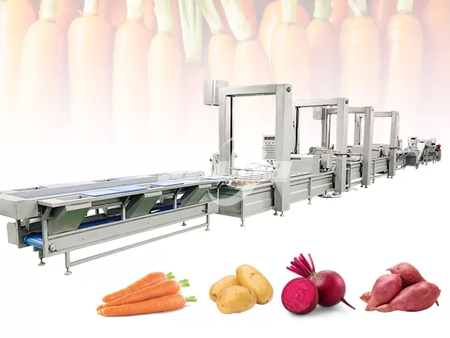 Root Vegetable Washing Peeling Line