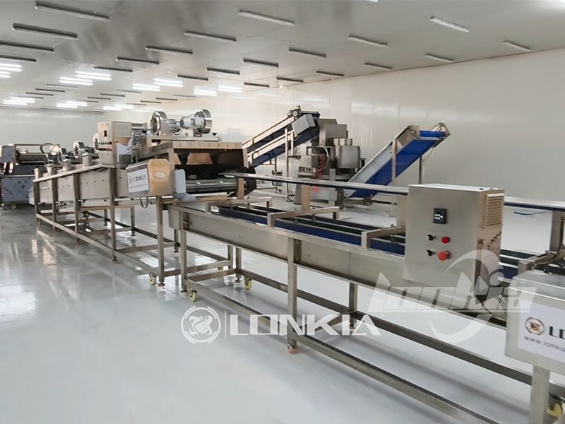 Lonkia 1.5 Tons/H Vegetable Processing Line Successfully Shipped to the Middle East