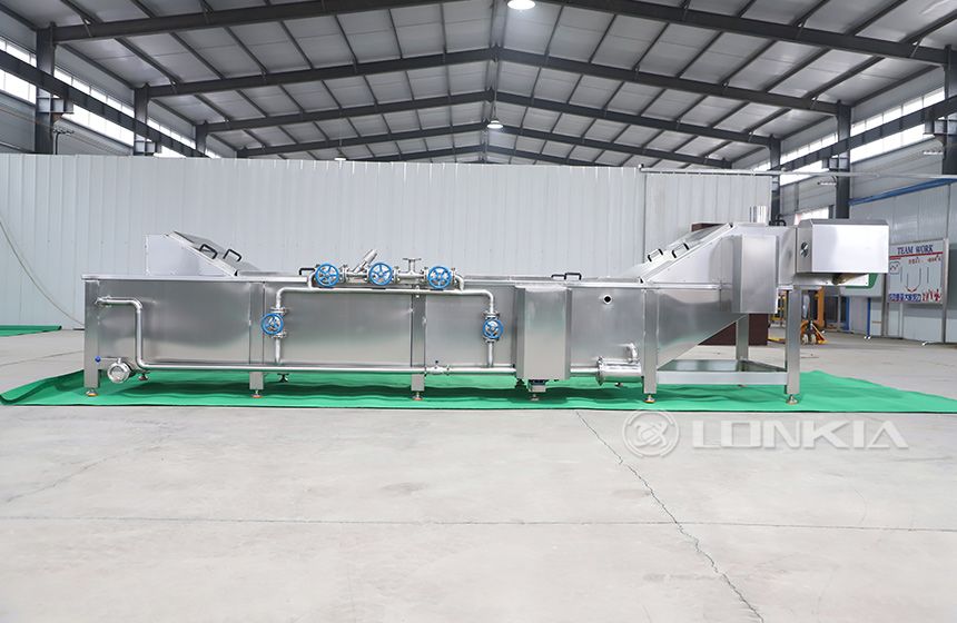 Continuous Tomato Blanching Machine