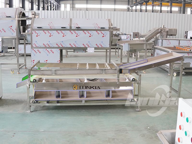 How Does A Tomato Sorting Machine Work?