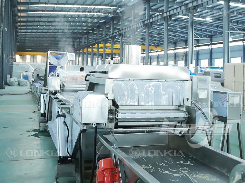 blanching machine for potatoes