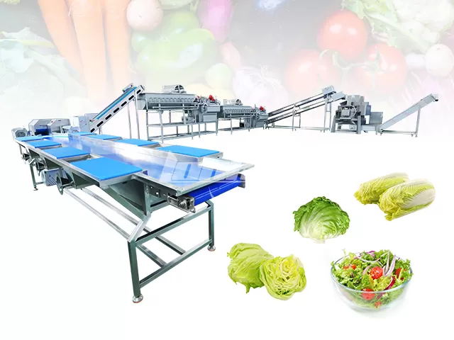 Salad Processing Line