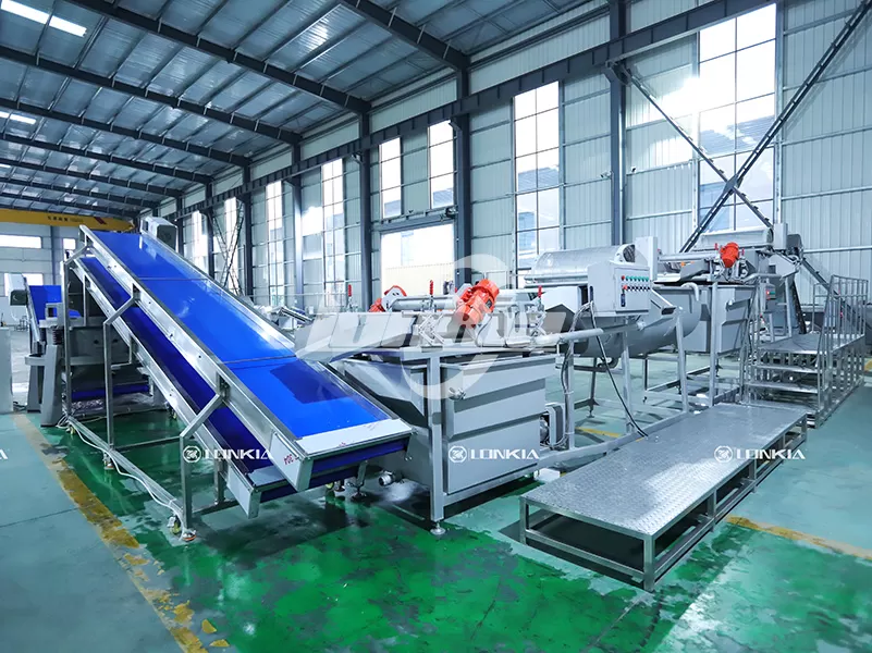 Why Invest in a Fruit and Vegetable Processing Line for Food Processing Plant?