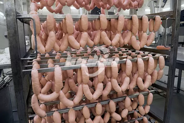 sausage production