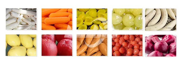 Steam Peeler Application Steam Peeler Application