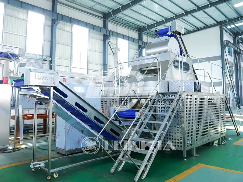 Plantain Chips Processing Machine: Steam or Manual Peeling?