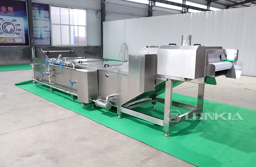 Tomato Blanching Machine