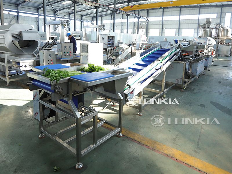 fruit and vegetable washer machine for sale