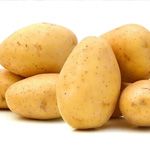 Potato