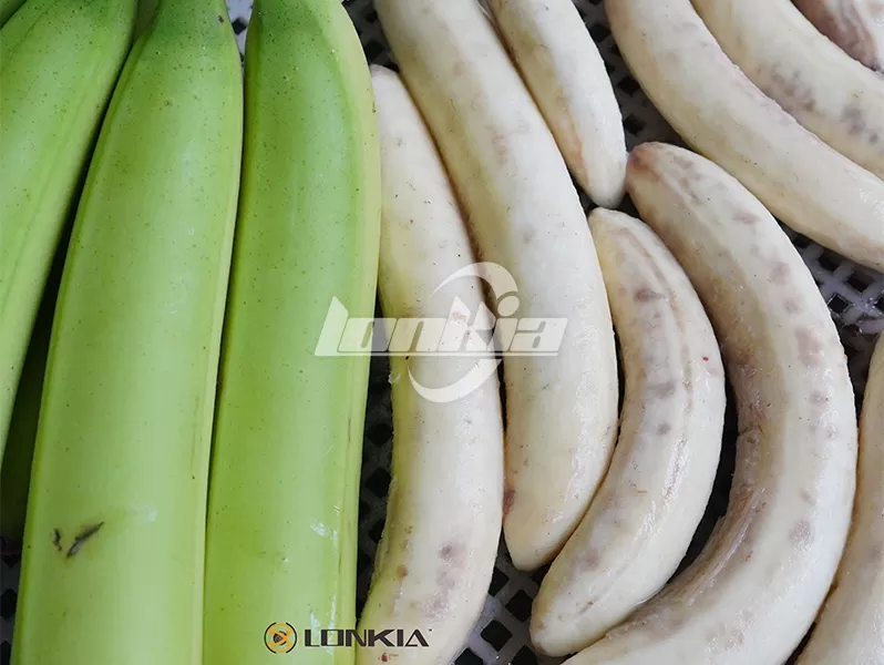 Lonkia Plantain Peeler Machine Delivered to Honduras with Full Installation and Service Support