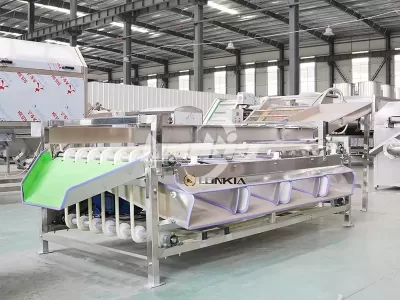 Tomato Grading Machine Cleaning and Maintenance: A Practical Guide