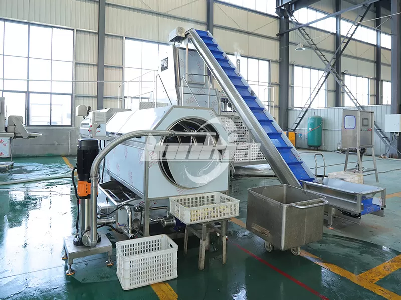 tomato peeler machine