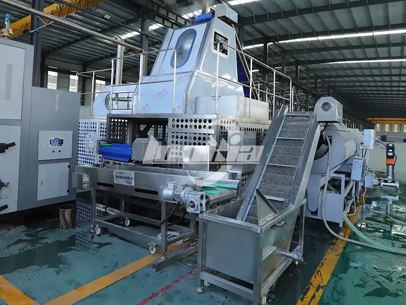 Tomato Peeling Machine