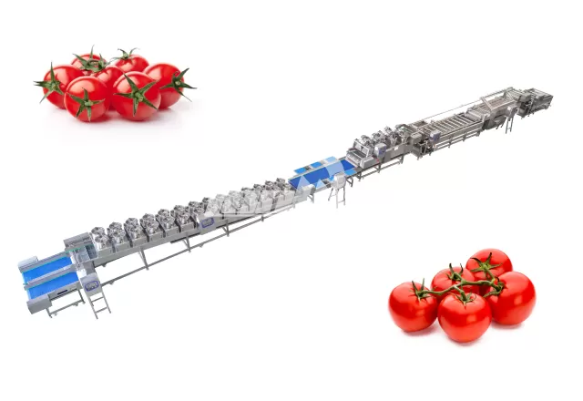 Tomato Processing Line Tomato Processing Line