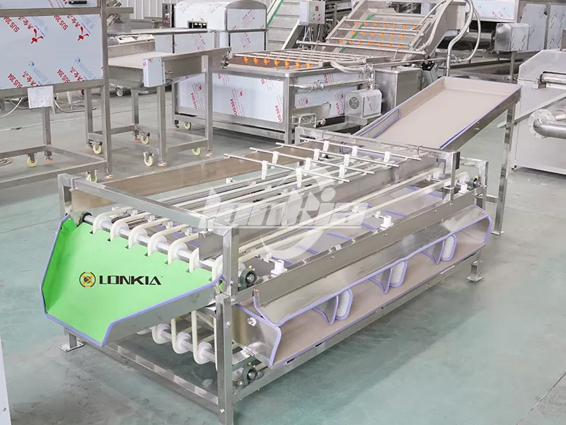 tomato sorting machine