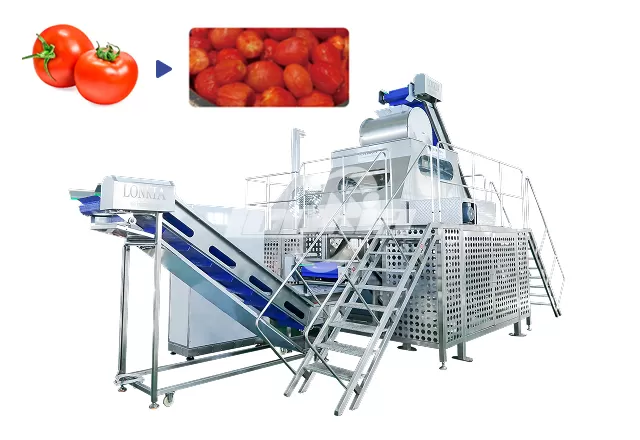 Tomato Steam Peeler