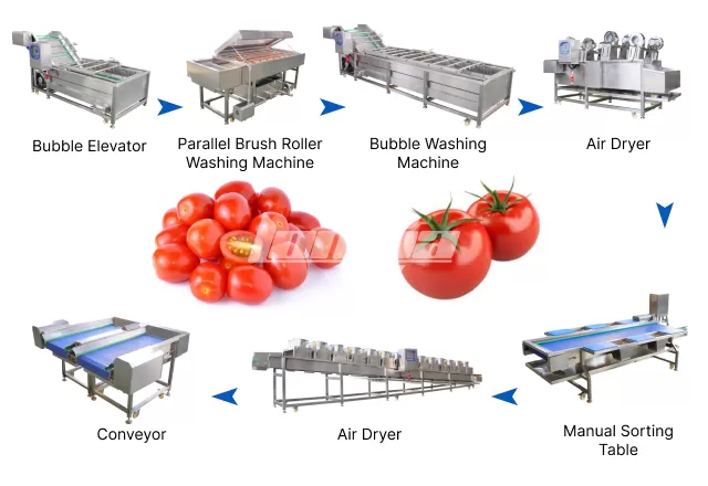 Tomato Washing Line