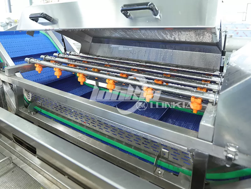 Choosing Between Vortex, Bubble, and Tunnel Washers for Vegetable Cleaning