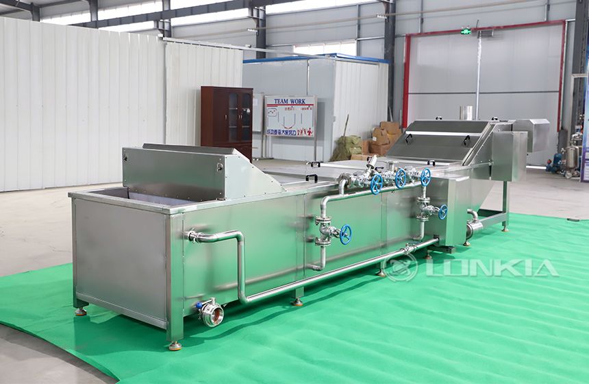 Tomato Blanching Machine