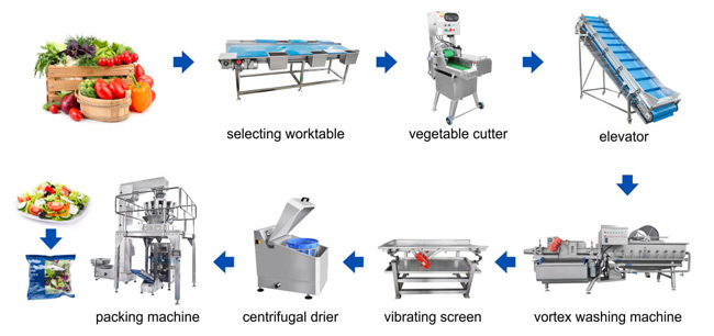 Vegetable Salad Processing Line Flow Chart