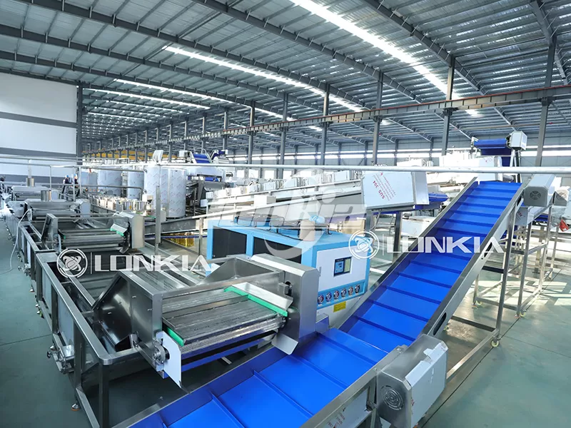 How Much Space Is Needed for a 1000kg/h French Fries Processing Plant?