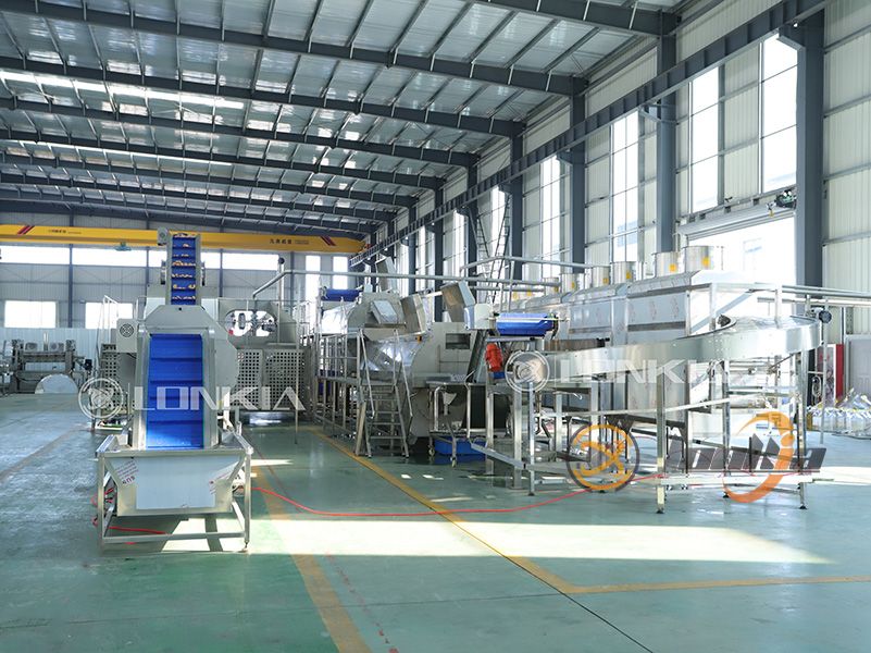 frozen potato production line for sale
