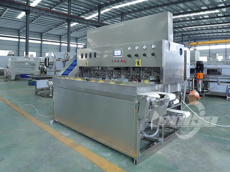 How Mango Peeling Machine Reduces Waste and Increases Fruit Processing Yield?