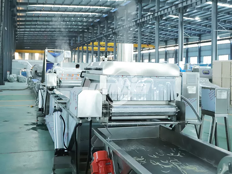 What Can a Vegetable Blanching Machine Process? Complete Product Application Guide
