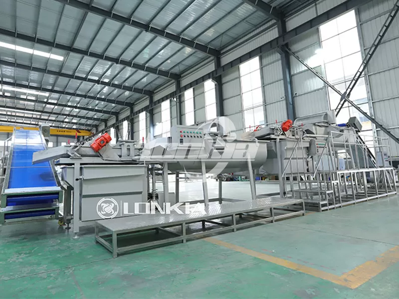 Vegetable Processing Line Plant