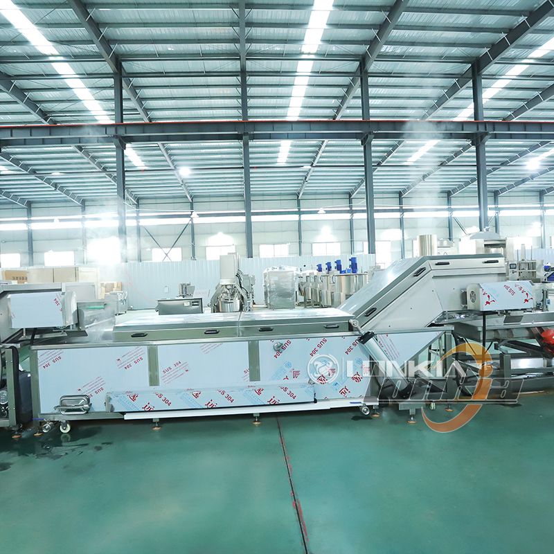 lonkia potato blanching machine
