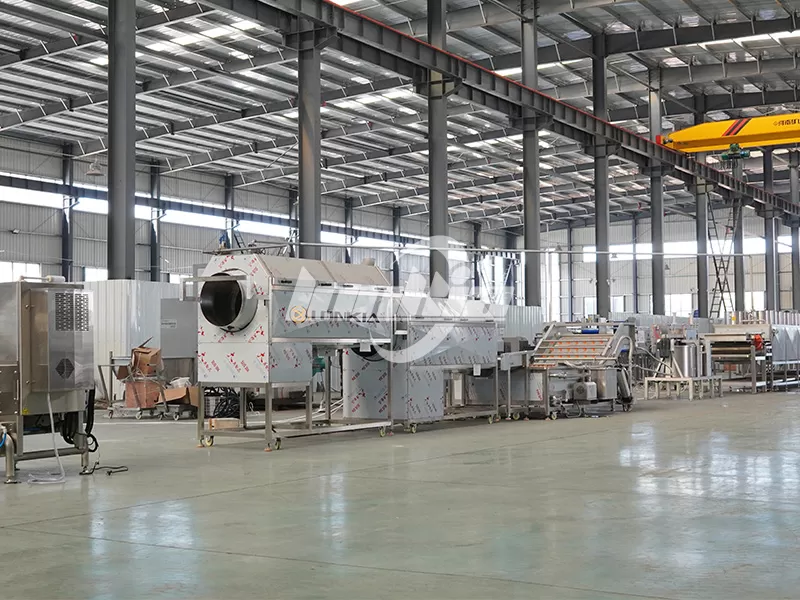 Reducing Labor Costs with an Automated Raisin Cleaning Line Factory ...
