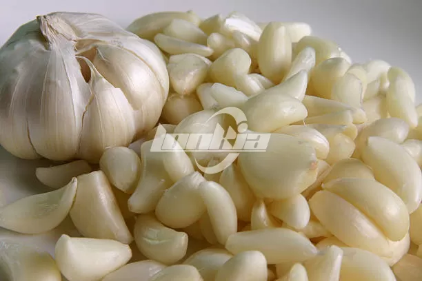 Why Choose Lonkia Garlic Processing Line for Your Plant?