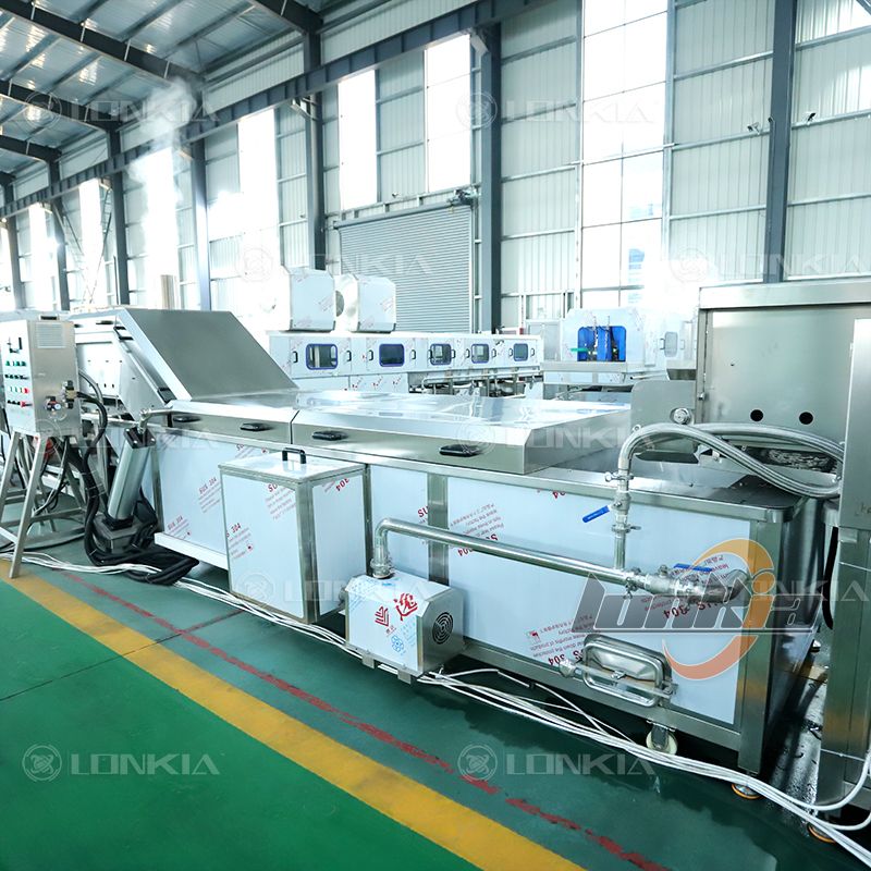 tomato blanching machine