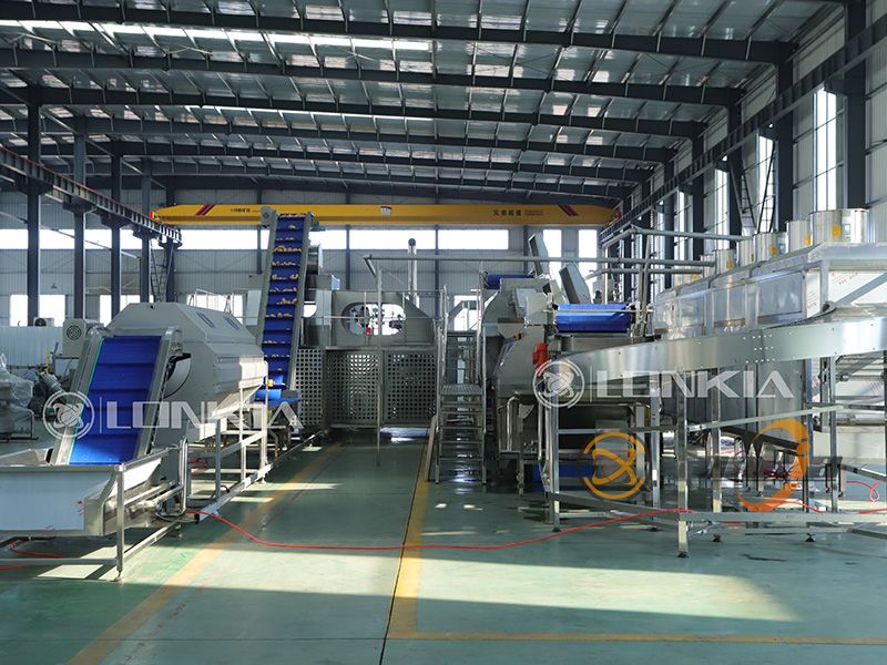 French fries production line price