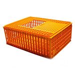 Chicken Crate