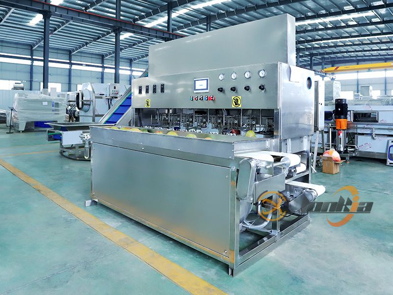 mango peeler machine for sale