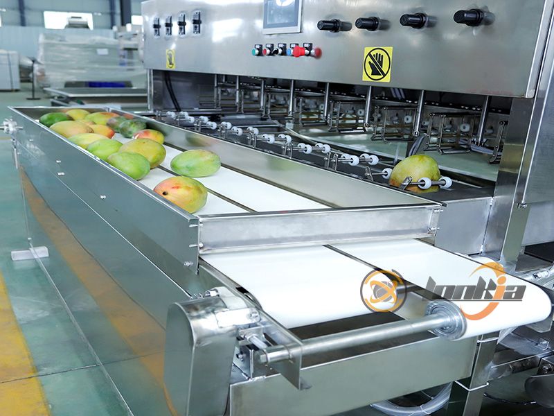 Can A Mango Skin Peeler Handle Different Mango Sizes and Varieties?