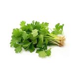 coriander