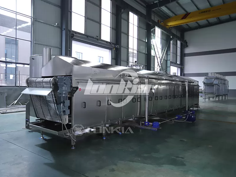 Choosing the Right Capacity French Fries Fryer for Your French Fries Processing Plant