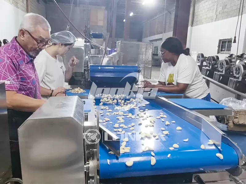 manual sorting station