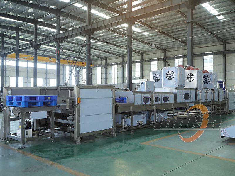plastic tray washing machine